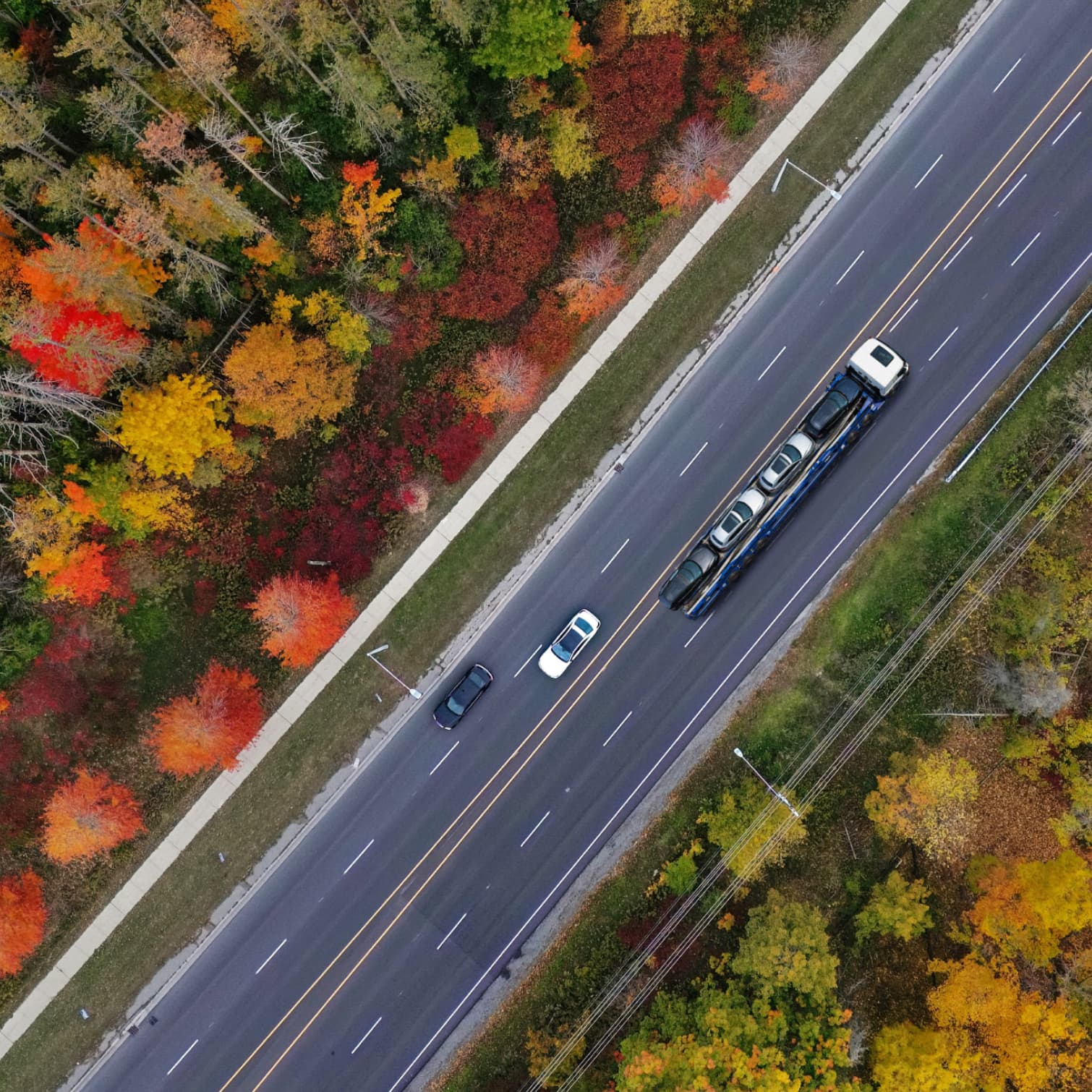 Movex geneal imagery 12