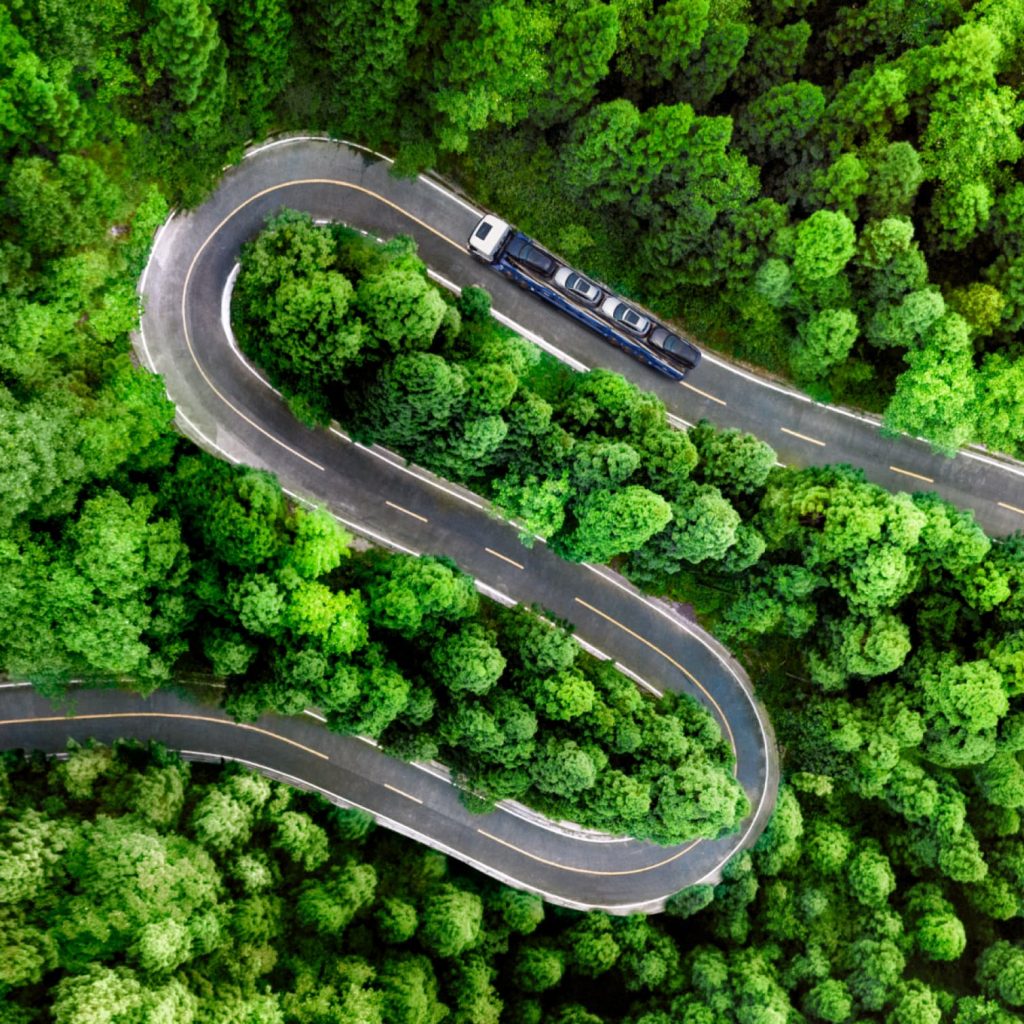 Movex geneal imagery 13