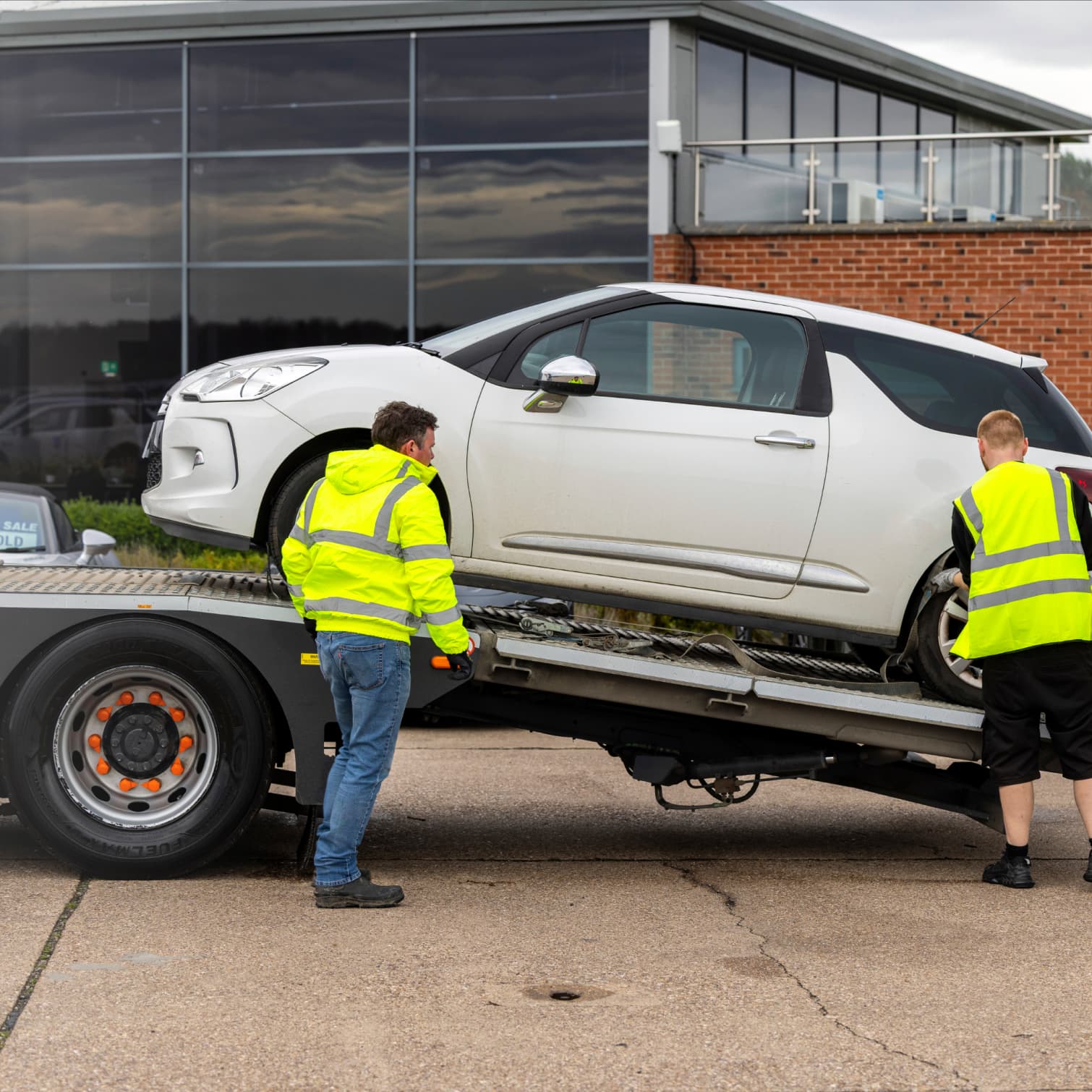 Movex geneal imagery 2