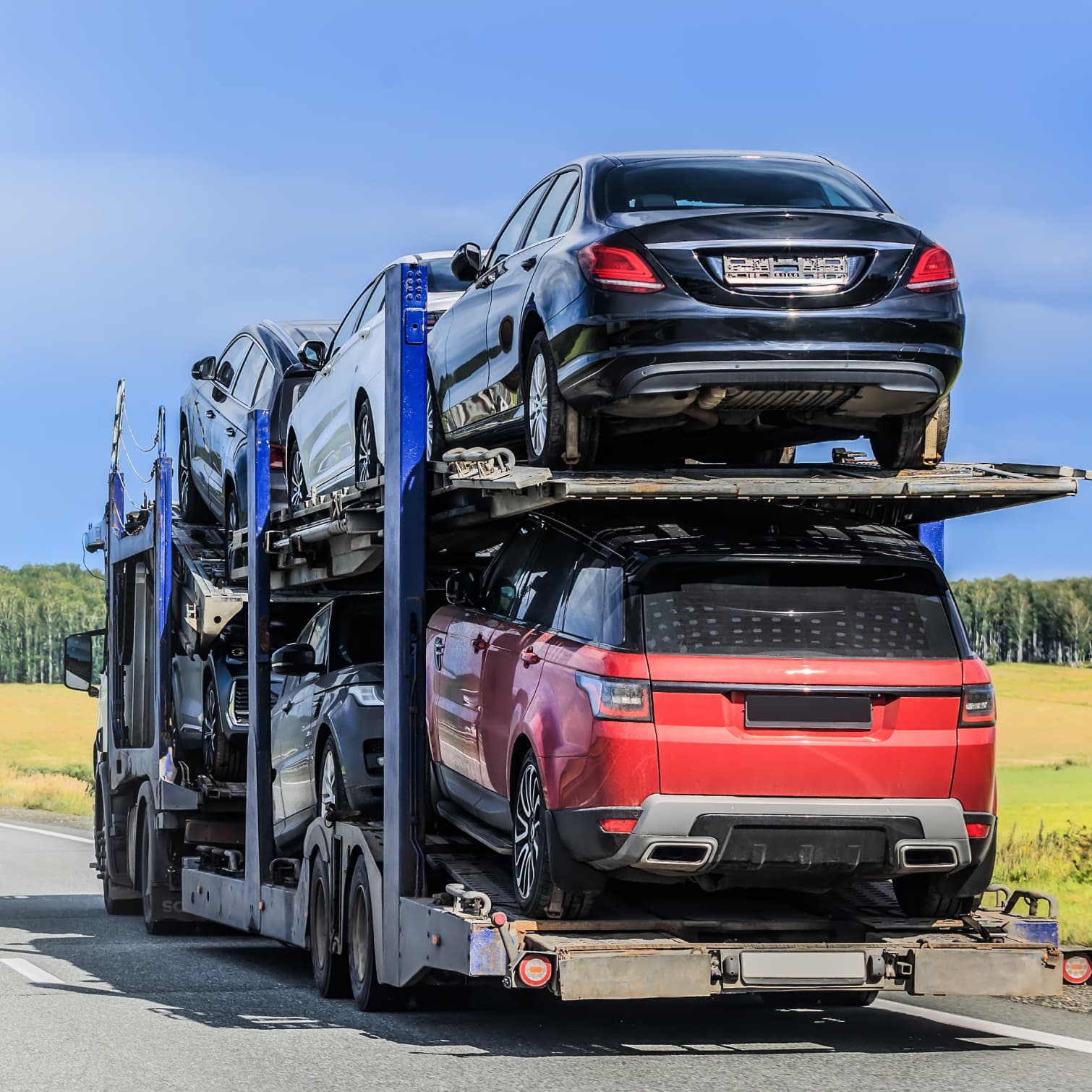 Movex geneal imagery 5