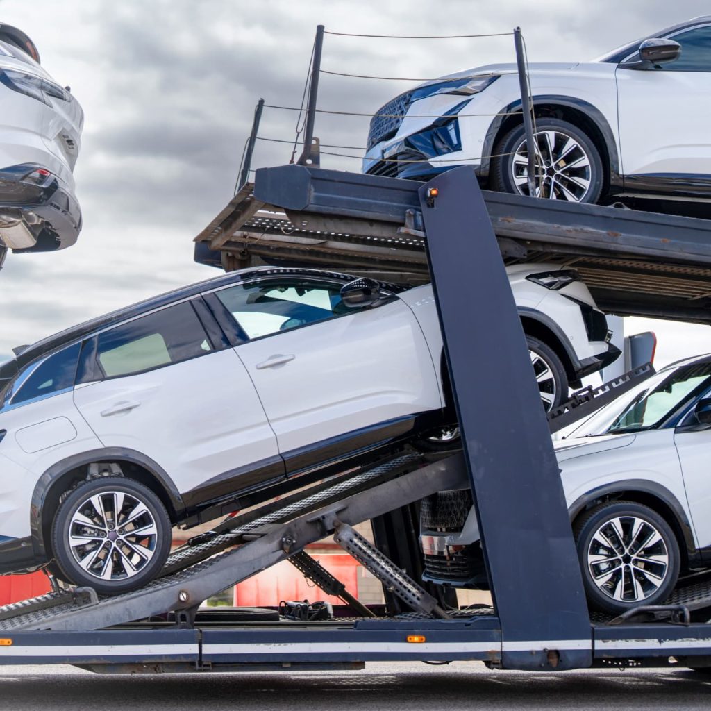 Movex geneal imagery 8